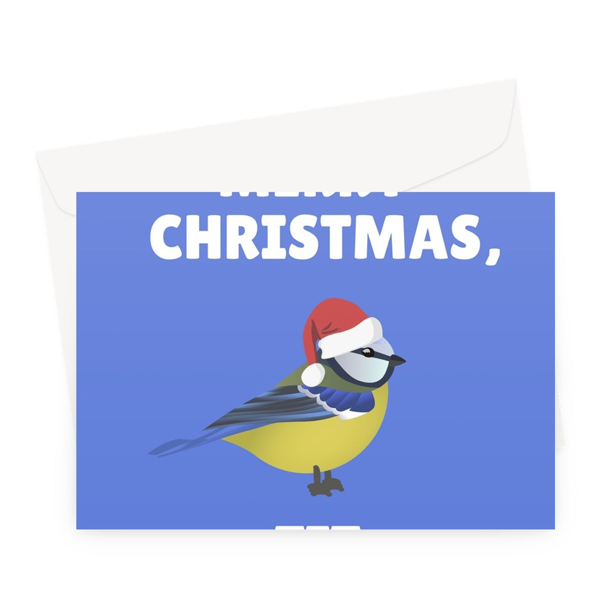 Merry Christmas, Tit Funny Xmas Blue Tit Garden Bird Pun Cheeky Greeting Card